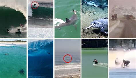Top 10 Viral Videos of 2019: Take A Look Back.